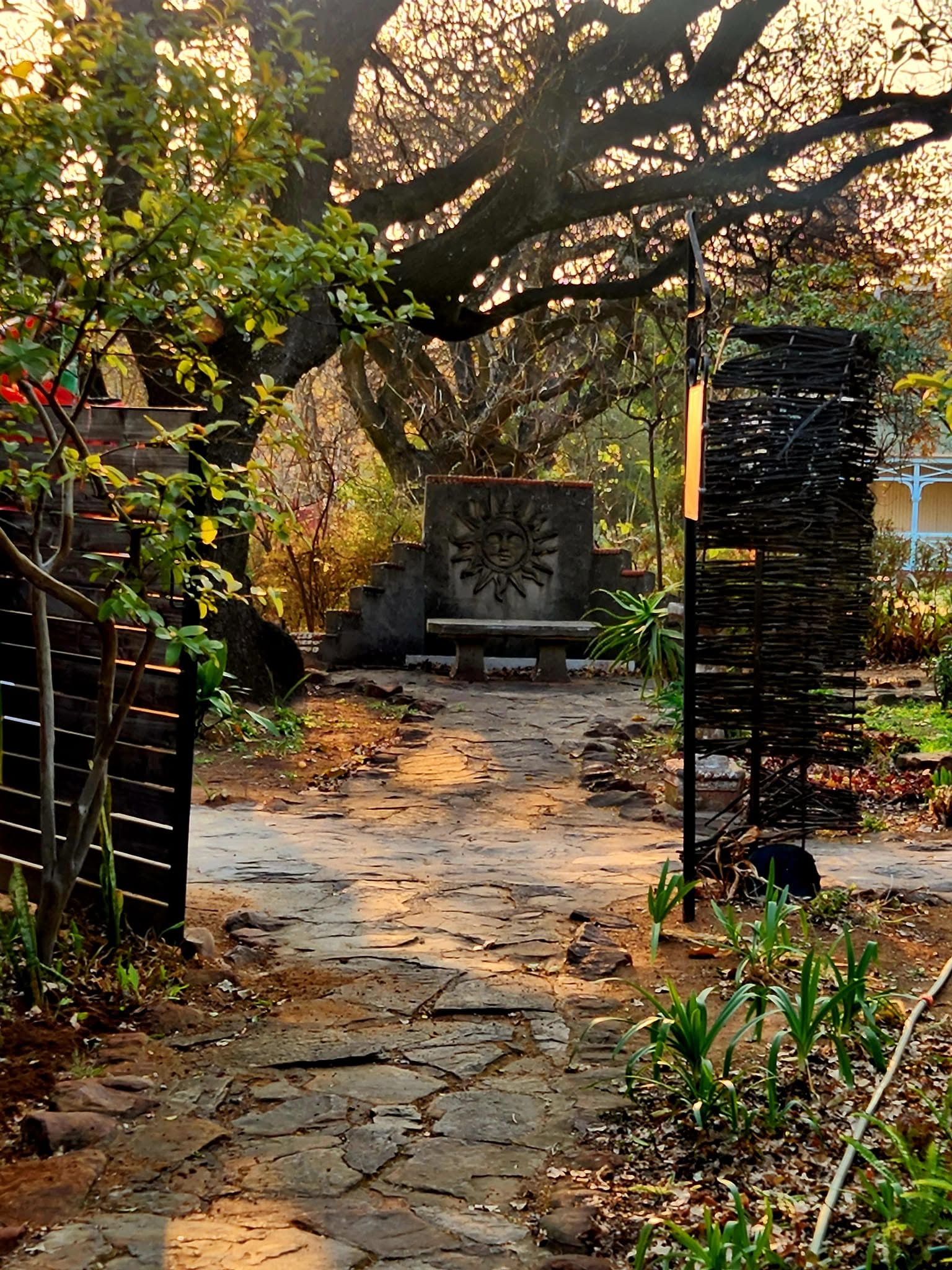 Slider Image 3